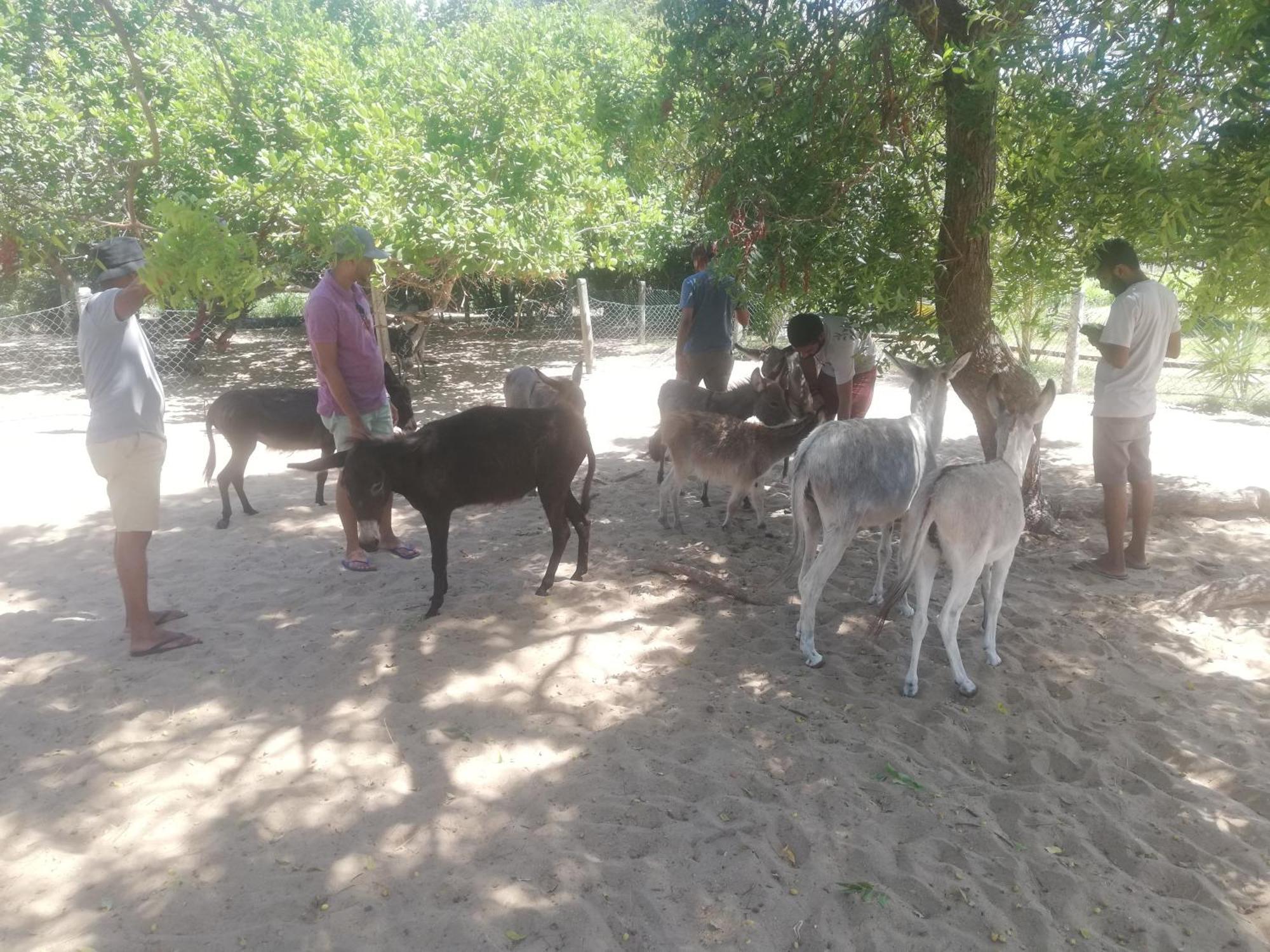 만나르 Donkey Clinic And Education Center 아파트 외부 사진